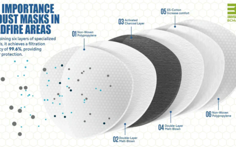 Wildfires in Los Angeles - A Call for Safety and the Importance of Dust Masks