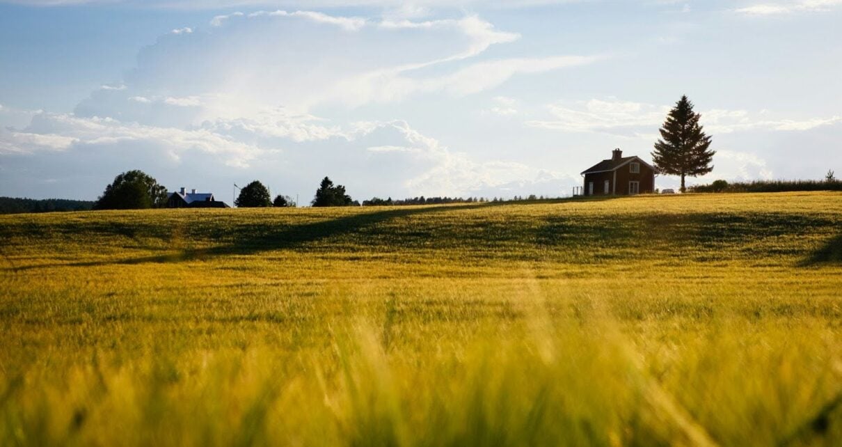 U.S. Cattle Supply Hits and All-Time Low, and the Effects are Even More Devastating