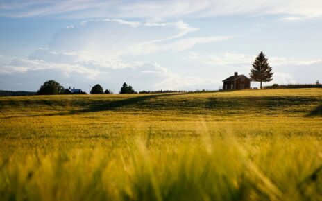 U.S. Cattle Supply Hits and All-Time Low, and the Effects are Even More Devastating