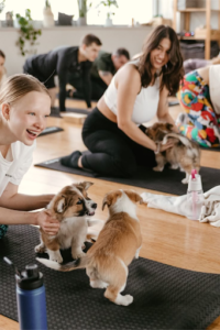 Why Puppy Pilates Classes Are More Than Just Cute — The Real Wellness Benefits Behind the Trend