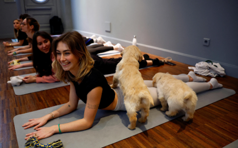 Why Puppy Pilates Classes Are More Than Just Cute — The Real Wellness Benefits Behind the Trend